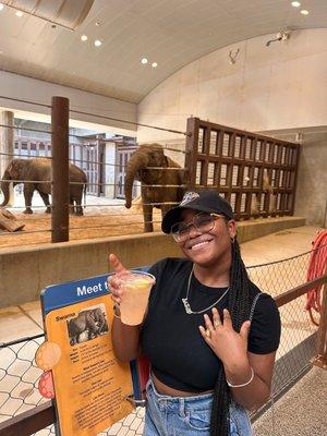 A drink with bestie elephants.