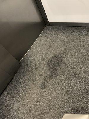 More dog pee In the elevator