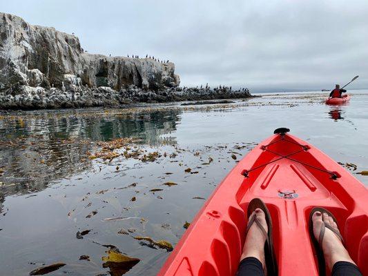 Avila Beach Paddlesports