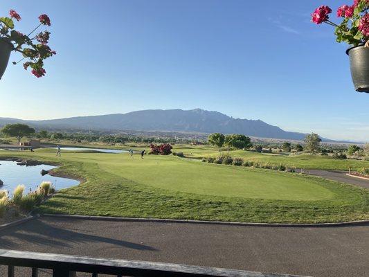 View from patio