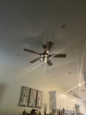 Santana Proz installed my ceiling fan and balanced the blades to eliminate any wobbling when on high.