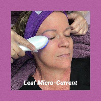 Leaf Micro-current to improve the appearance of fine lines and wrinkles