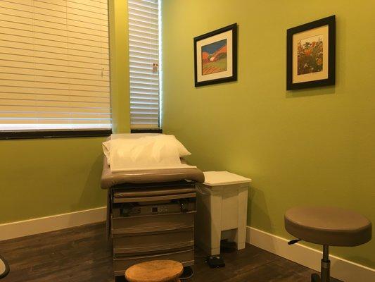 Classy and sophisticated OBGYN exam room!