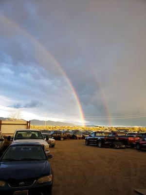 Who ever said a junkyard is not beautiful?