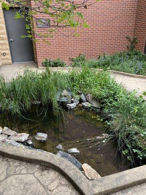 Heal yourself with this koi pond