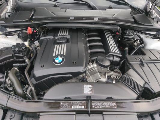 BMW Engine Bay Detail  https://mmiguelros.wixsite.com/website/product-page/engine-bay-cleaning