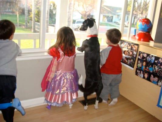 Tuesday is garbage day.  Everyone is fascinated by the whole process, even the preschool mascot " Murphy" has to get in on it.