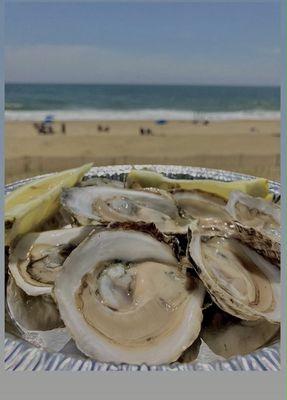 Fresh locally harvested WILD OYSTERS