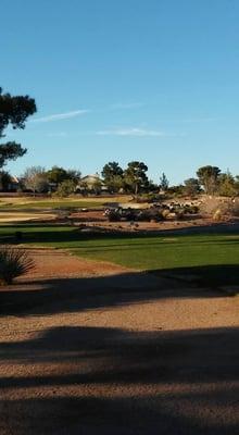 very pretty desert and natural landscaping