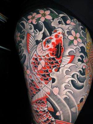 Koi and Sakura