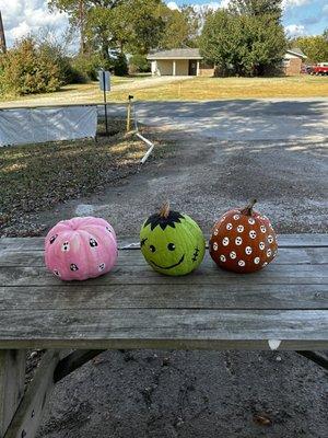 Pumpkins were too cute!