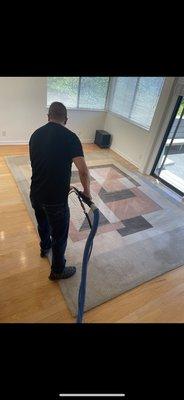 Area rug cleaning