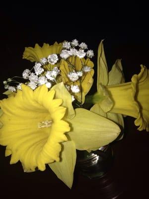 I'm at a total dive bar and there is a bouquet of fresh daffodil on the table...amazed!