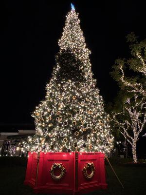 Christmas tree at the plaza