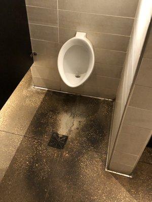 Urine all over the floor.