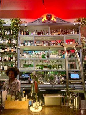 Bar and very nice bartender