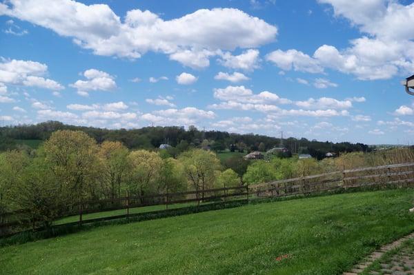 view from the kennel