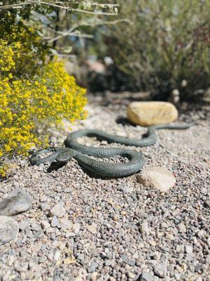 Red Rock Canyon Visitor Center