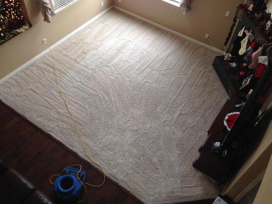 After Carpet Cleaning, Carpet Restoration, Carpet Stain Removal