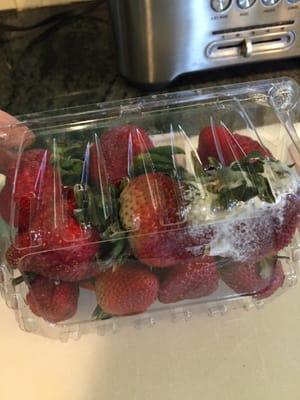 Please check your produce. Just bought theses strawberries from your deli and they have mold on them.