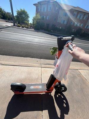 Download the SPIN app to ride an electric scooter! Bring a helmet.