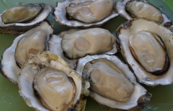 Good size oysters in this box fR. Ham & Produce *5/31/23