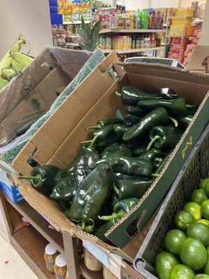 Fresh super sized poblanos