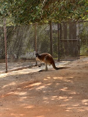 Riverbanks Zoo & Garden