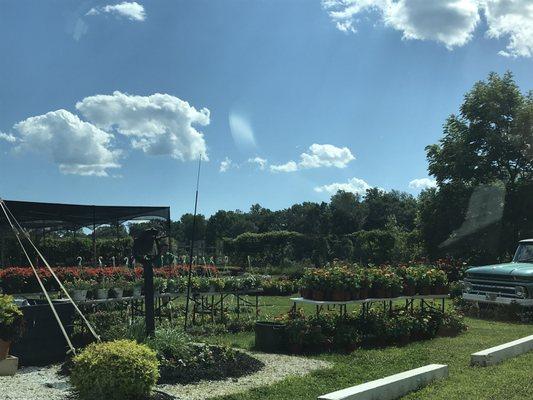 RJ Laurino Farm Stand