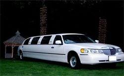 Limousine Service