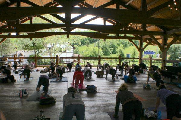 Wellness Day Yoga Retreat presented by 
 Sattva Yoga for the Soul
 Alpine Valley 2021