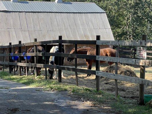 Spring Lake Ranch