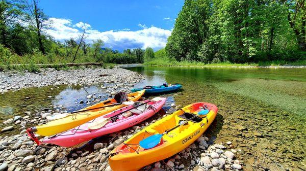 Some of my favorite client consultations happen kayaking the Skagit River!