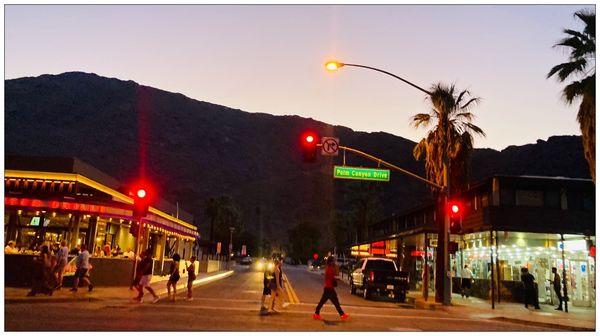 The Palm Canyon Drive. #CatWalkBegins #ThursdayFestival