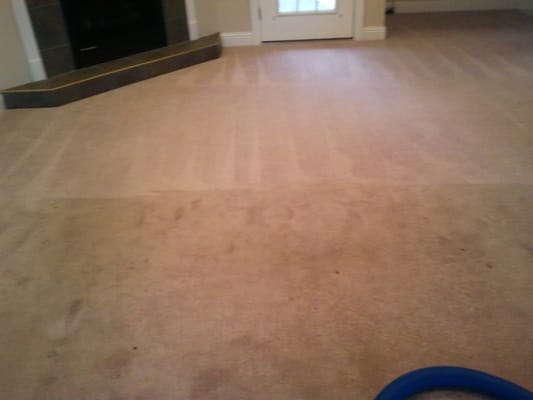 knoxville carpet cleaning