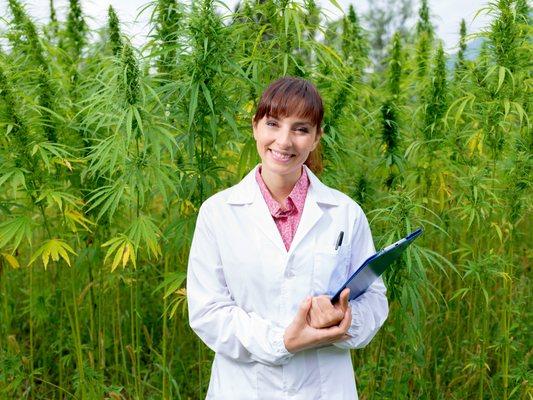 AR Cannabis Clinic:  Marijuana Doctor Ready to Certify Patients for Marijuana Cards In Arkansas.  arcannabisclinic.com