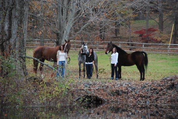 High Point Farms II