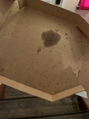 Ants in the pizza box that they dropped off at the mailbox by the street instead of the door.