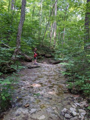 A creek bed - not really wheelchair friendly, but when do I play by the rules?