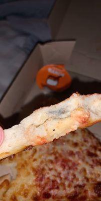 mold in pizza