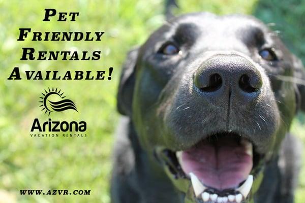 Arizona Vacation Rentals has pet friendly homes available so you can take the entire family on vacation! Call 888-711-8105 for more info