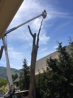 Removing tree over house