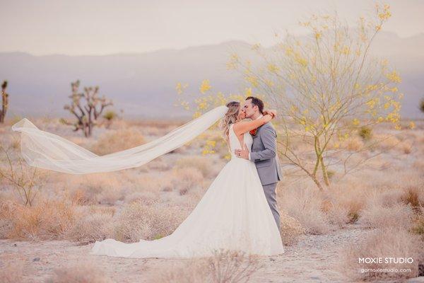 Las Vegas wedding photographer at Paiute golf course