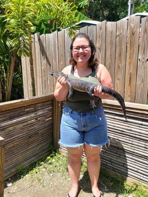 At the end of the tour, you can hold a baby alligator!