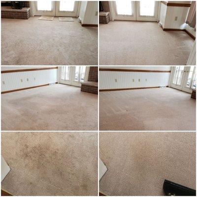 Carpet before and after cleaning