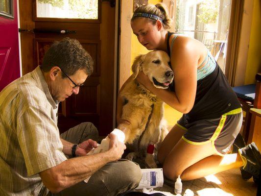 Grateful to this family owned practice that has supported my dog's second surgery.  Dr Bob Thorsen and his daughter in training, " Dr. Lily"