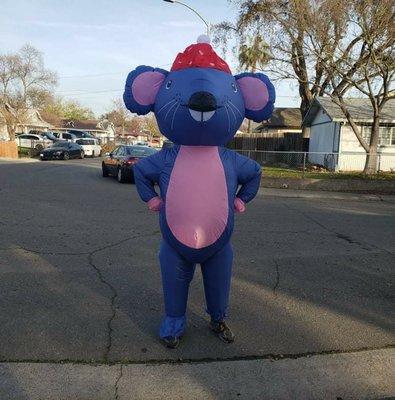 Owner in Mouse costume for parade