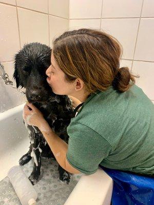 Bodhi giving puppy eyes during bath time; soaking up all the love