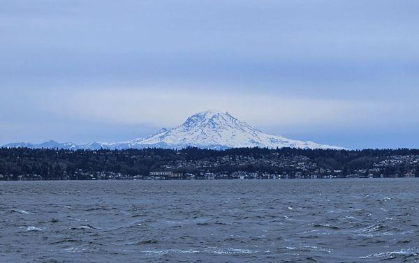 Mt. Rainier