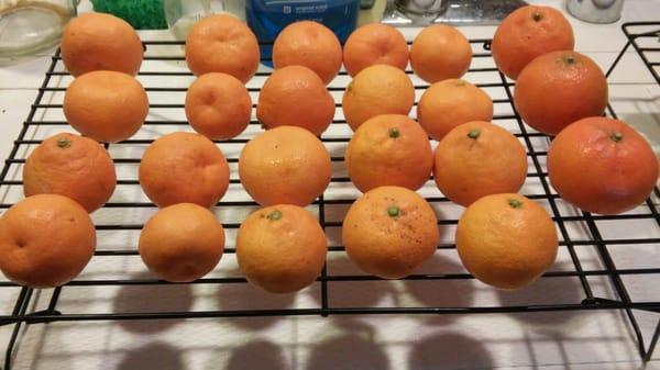 Mandarin orange